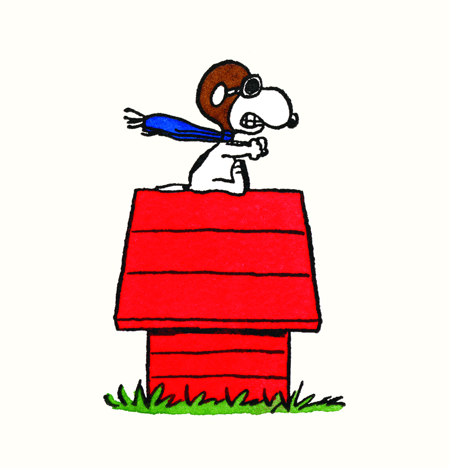 Peanuts Charlie Brown