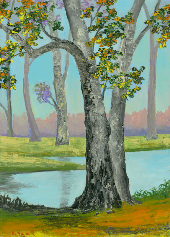 David Najar Park West Gallery